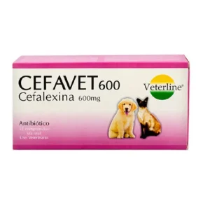 Cefavet 600