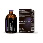 Conceptase 100 ml