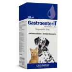 Gastroenteril