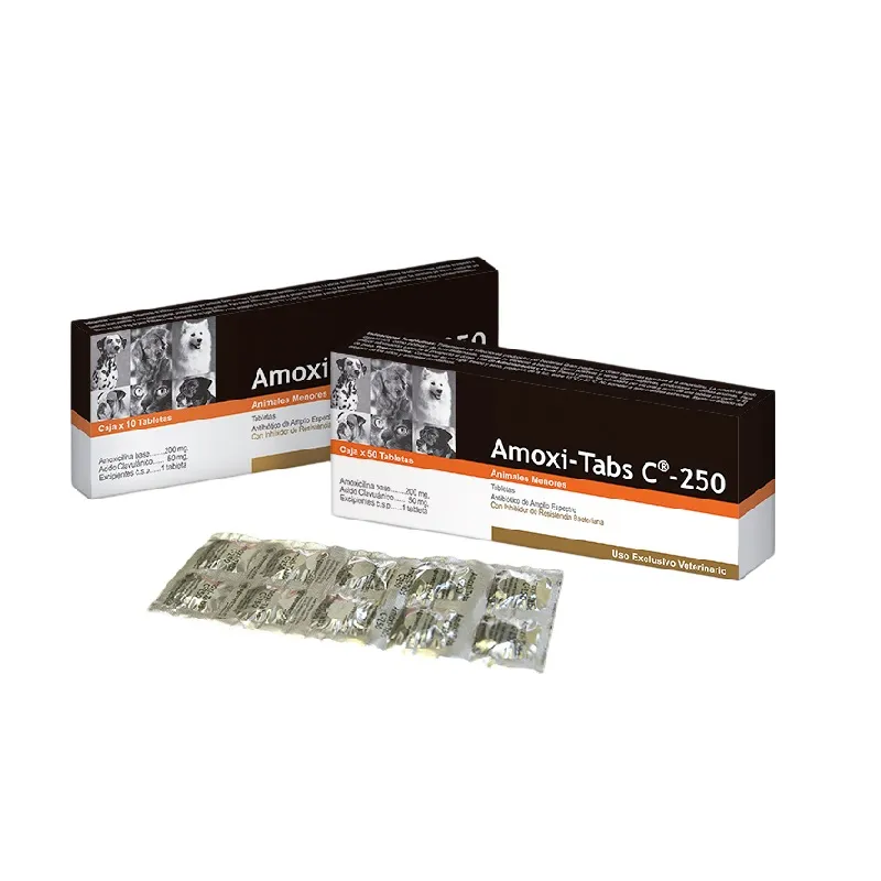 Amoxi-Tabs C-250