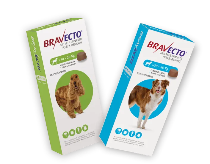 bravecto